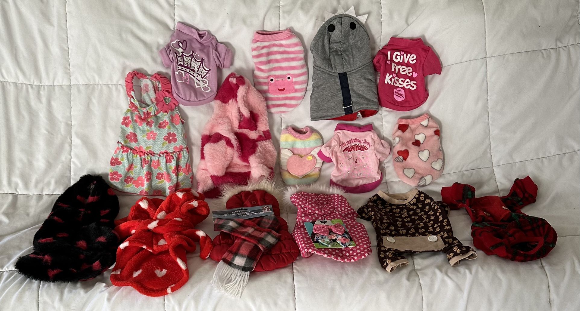 Puppy Outfit Outfits