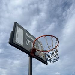 basketball court 8-9"