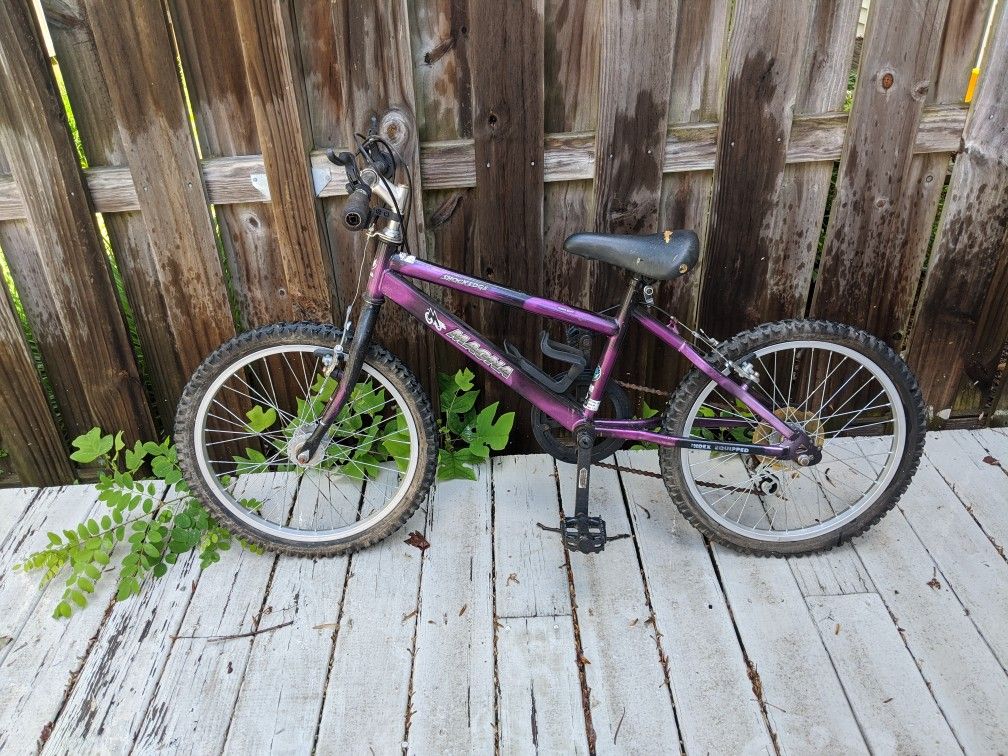 Magna Bike - size 20