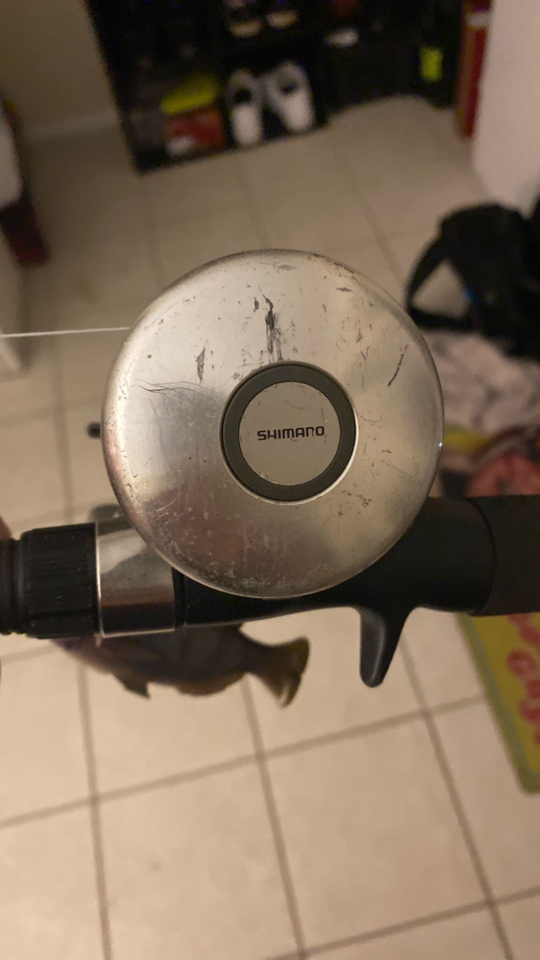 Shimano Corsair Reel
