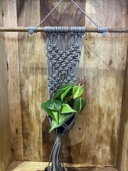 Handmade Macrame Holder, Plant Sold Separately