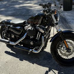 2015 Harley Davidson (48) Forty-Eight