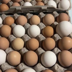 Fresh Free Range Eggs