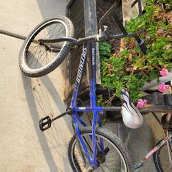 Specialized Hot Rock