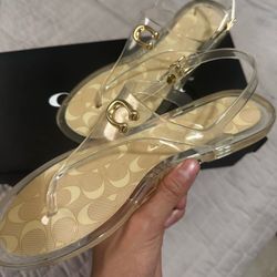 Coach Jelly Sandals 