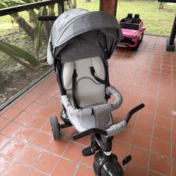Bike Stroller 