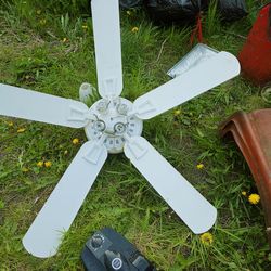 Celing Fan