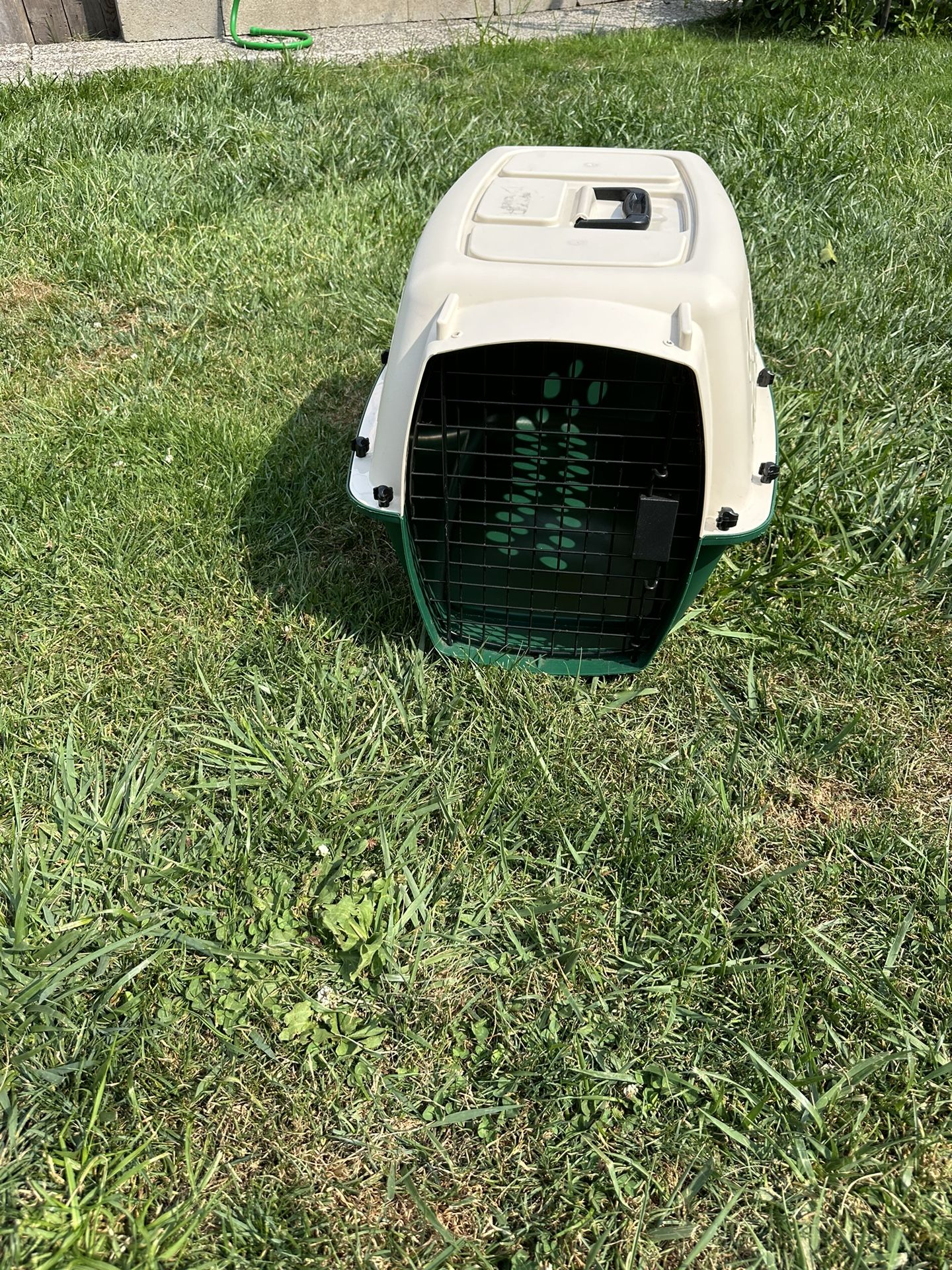 Dog Kennel