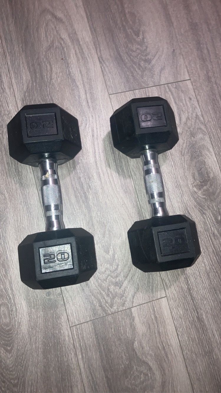 20 lb Dumbbells