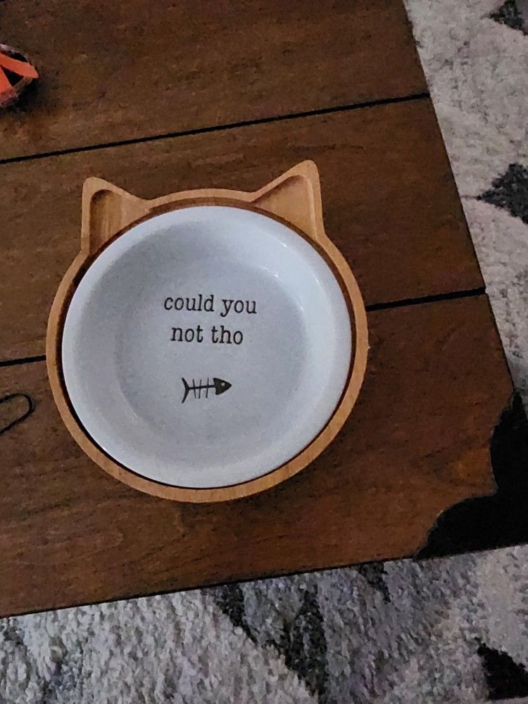 Cat Bowl