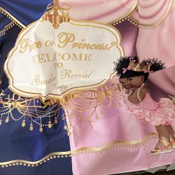 Free Baby Reveal Ballon Kit/back Drop 