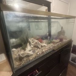 50 Gallon Tank