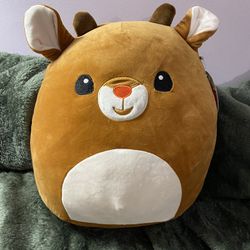 Rudolph the Red Nose Reindeer Squishmallow 