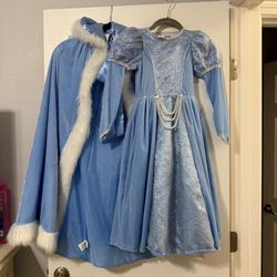 Princess Disney Elsa Costume
