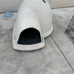 Dog House