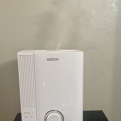 6 L Humidifier 