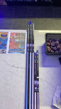 New Reef T5 Aquarium Bulbs – Limited Availability