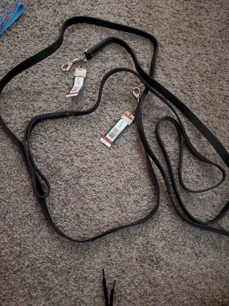 2000$ Worth Of Dog Leashes Collars Outfits Harnesses Etc For 600$