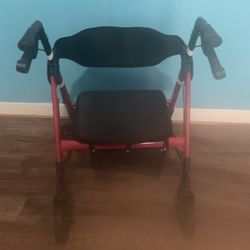 Walker n Transport Chair