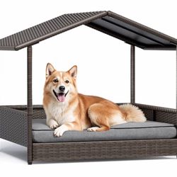 Dog Shade 