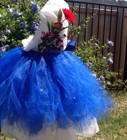 Cinderella blue tutu