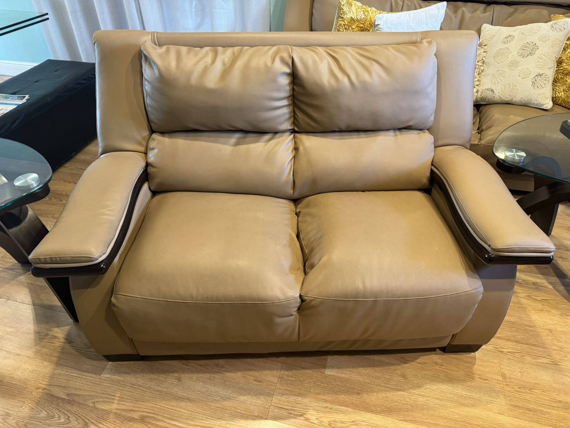 Loveseat Leather Couch / Sofa