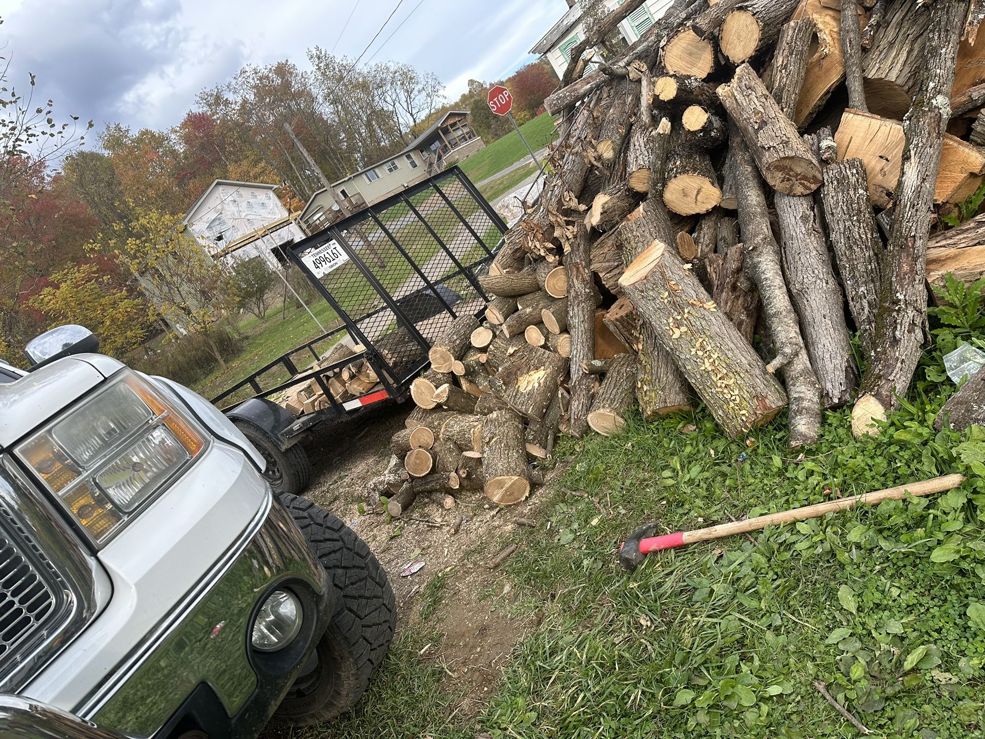Trailer Load Of Cut Wood 