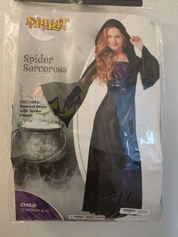 Spider sorceress witch costume