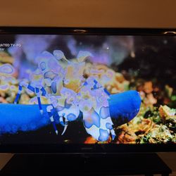 58" Samsung Plasma HDTV (PN58C6500)