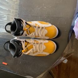 Jordan 6s