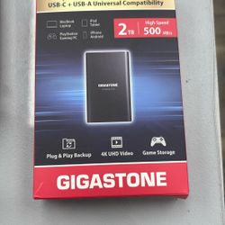 Gigastone 2TB portable SSD 