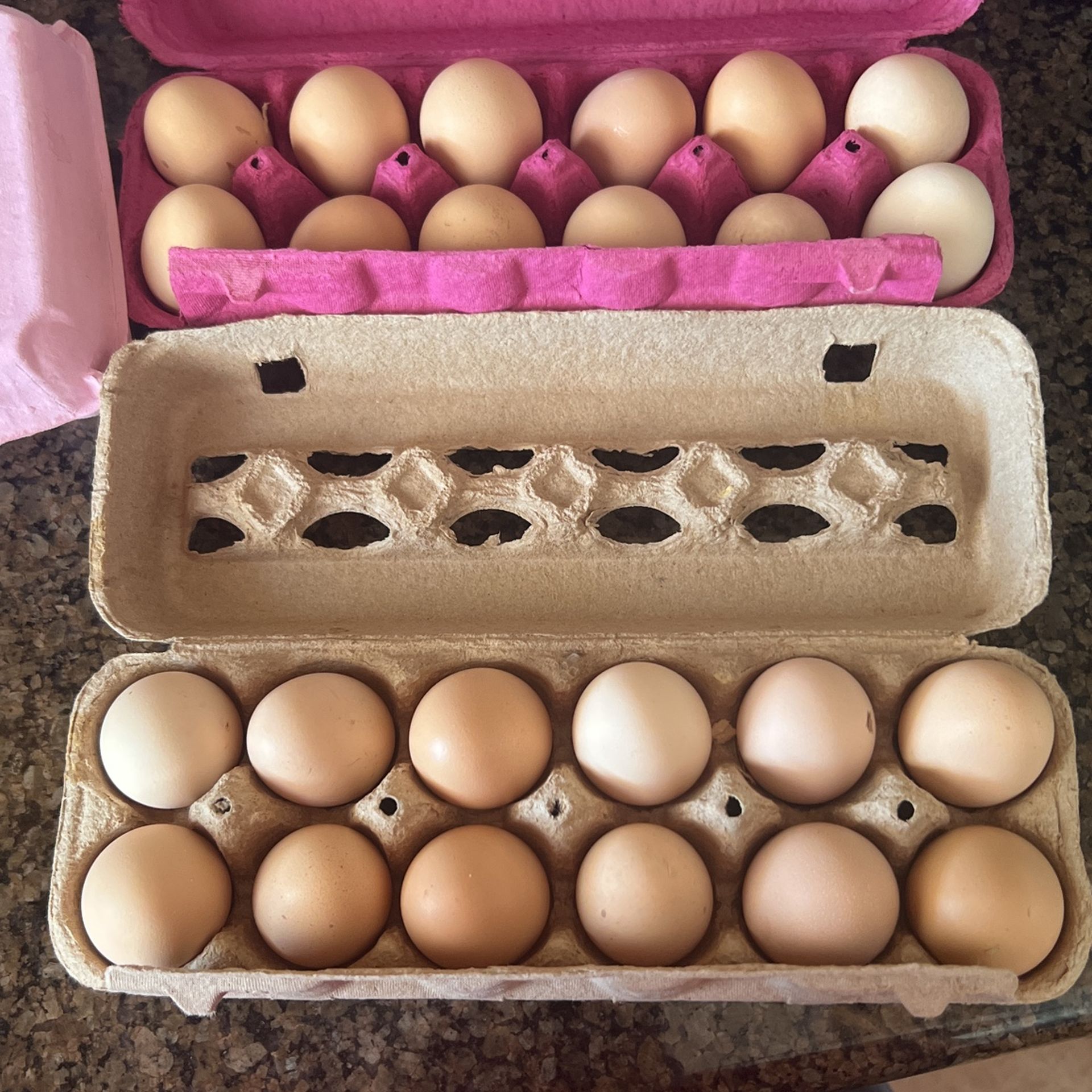 Fresh Eggs