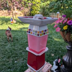 Bee 🐝 Bath/ Butterfly Puddler 