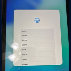 Blue iPad 10th Gen