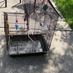 Birds Cage 