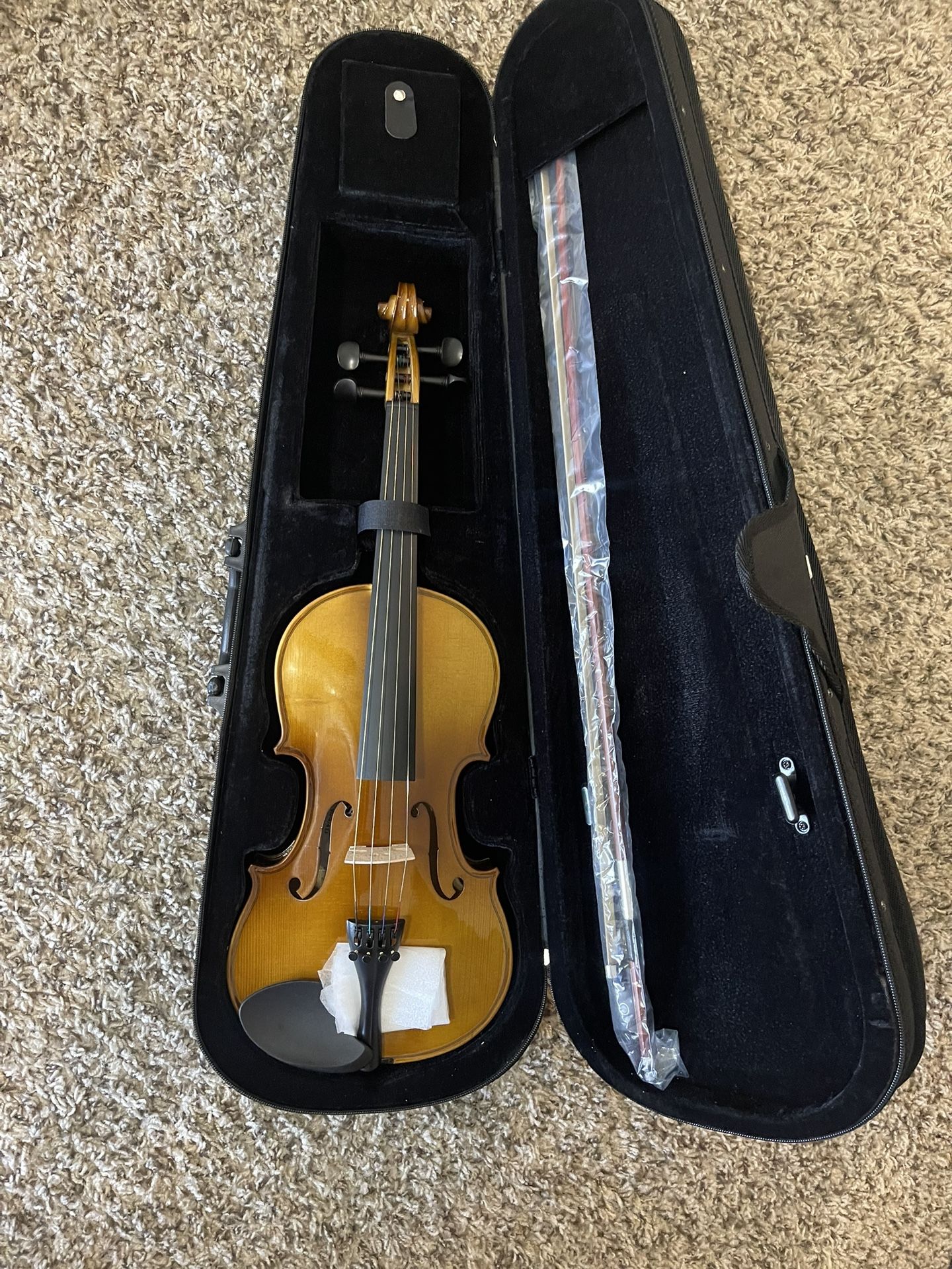 Brand New Beginner Violin
