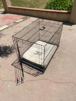 Foldable Dog Crate