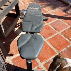 Exercise Bench