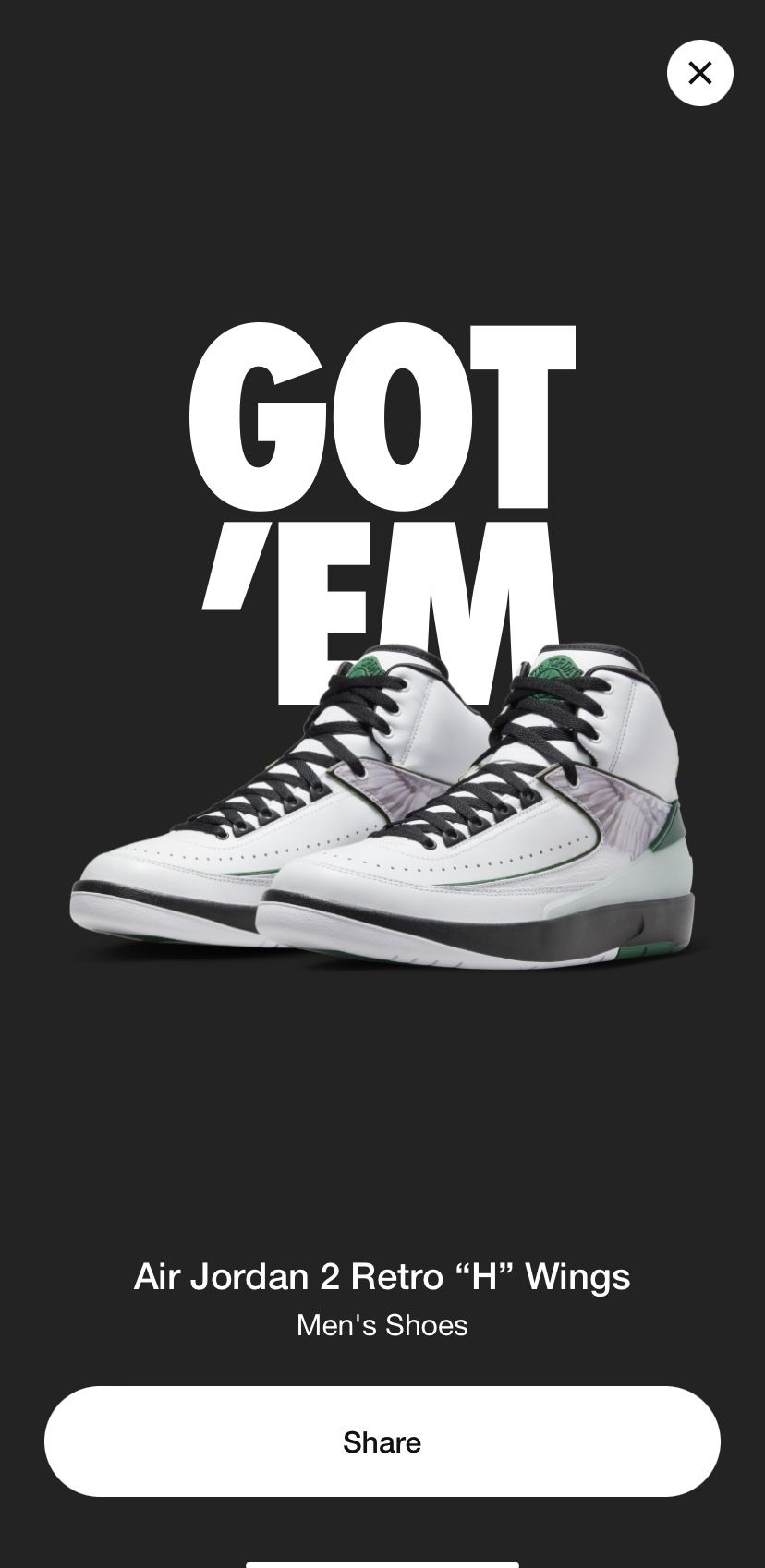 Air Jordan 2 H Wings - Size 10