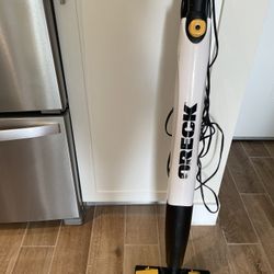 Floor steamer: Oreck Steam-It (microfiber pads Included)