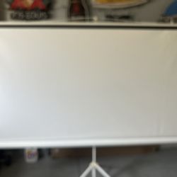 Projector Screen (White With Tripod )
