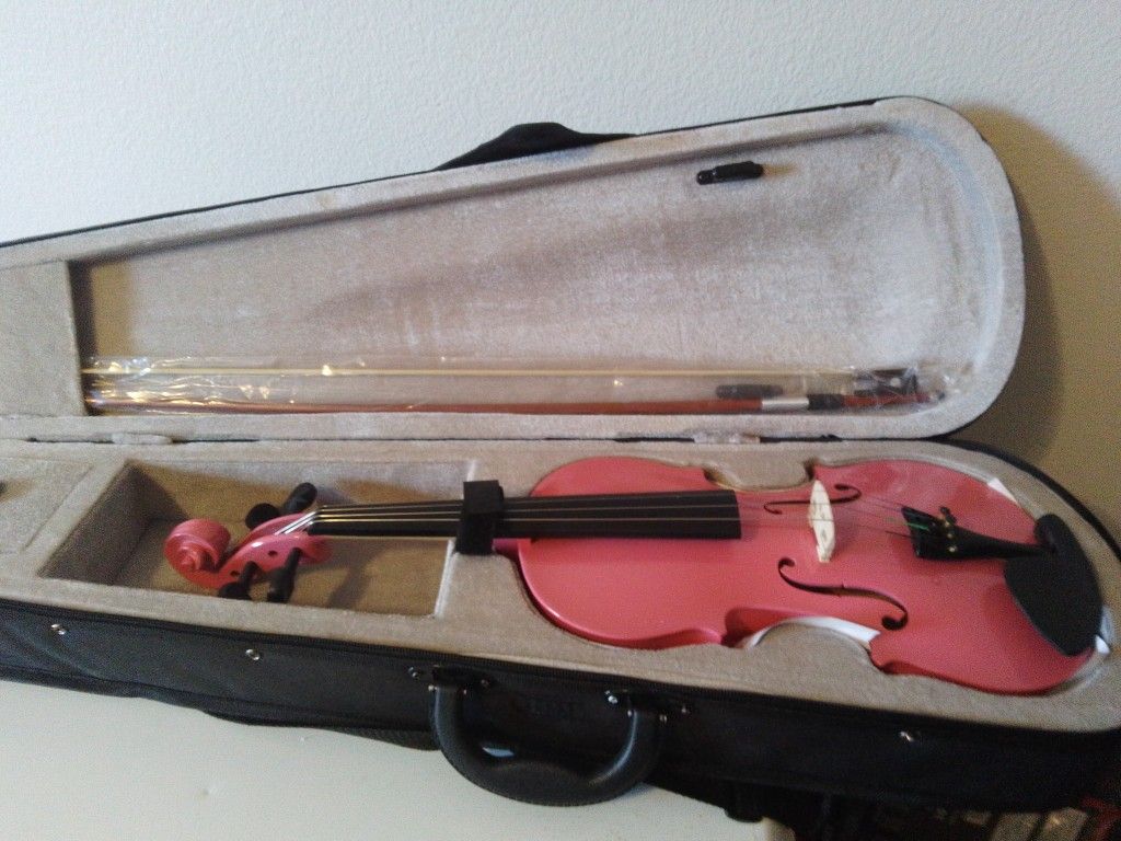 Brand New 3/4 Pink Violin Includes Case And Bow