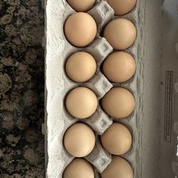 Organic Eggs