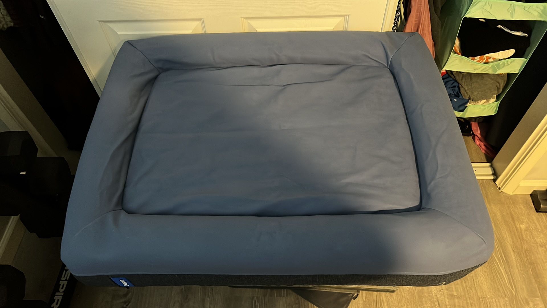 Brand New Casper Dog Bed Medium Blue