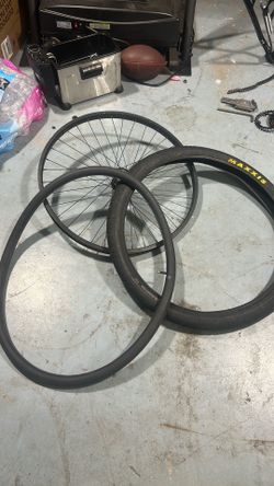 Front rim with slime tube and maxxis tire