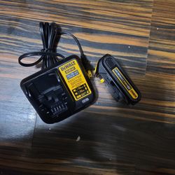 Dewalt 20v Battery And Charger 