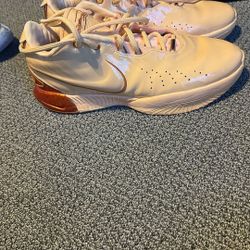 Lebron 20s Size 11