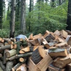 Seasoned  Mixed  Firewood 