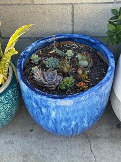 Porcelain pot