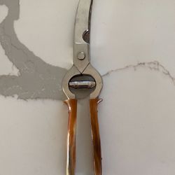Vintage E Gierling Solingen Poultry Scissors Shears. In Good Condition